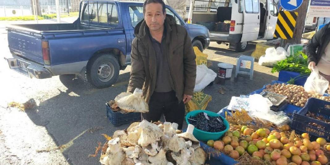 1800 rakımlı yayladan topladı pazara taşıdı! Tanesi 400-600 gram arasında değişiyor: Dev mantar pazarın ilgi odağı 1